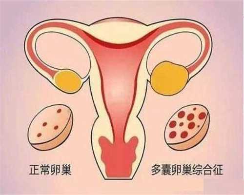 惠州代孕包女孩,惠州可以做试管的医院