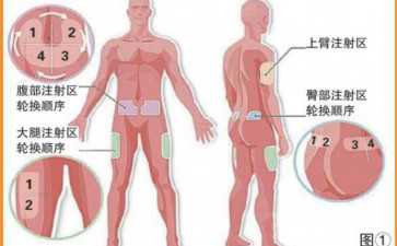 取卵手术后需要休息几天？-助孕多少钱