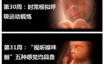 2025湘潭中心醫院供精試管嬰兒指引（附流程與費用）