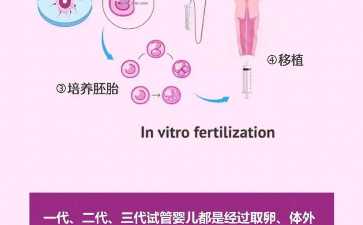 葡萄胎再次备孕查哪些~~助孕公司咨询